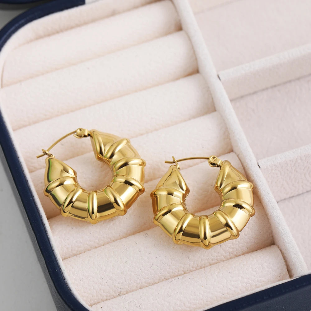 Stainless Steel Smooth Round Tube Chunky Hoop Earrings