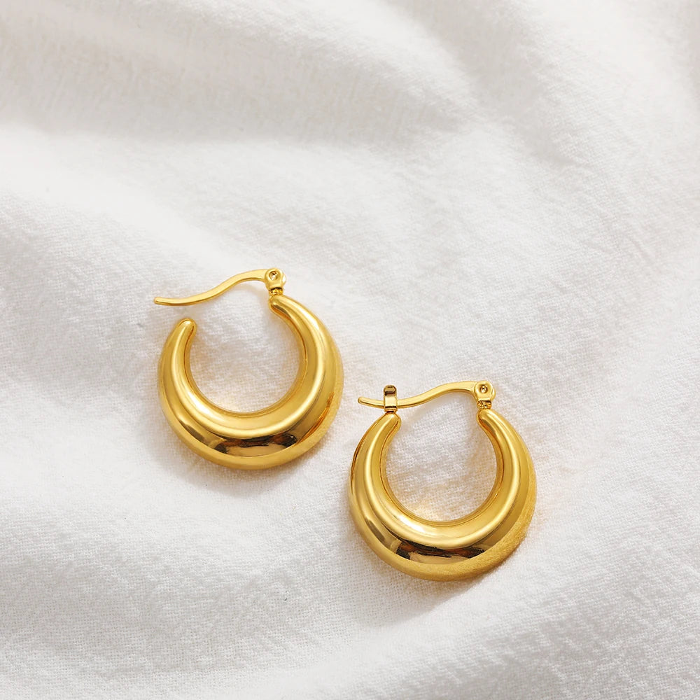 Stainless Steel Smooth Round Tube Chunky Hoop Earrings