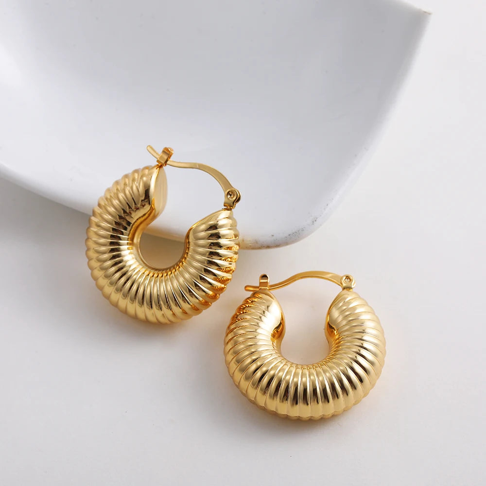 Stainless Steel Smooth Round Tube Chunky Hoop Earrings