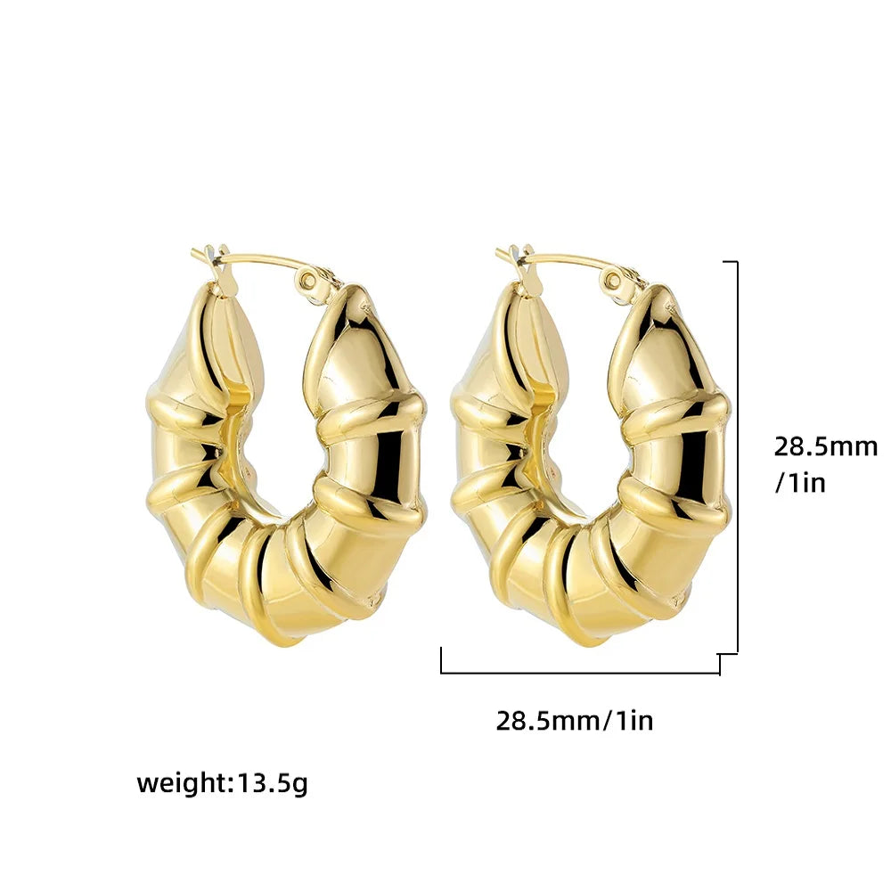Stainless Steel Smooth Round Tube Chunky Hoop Earrings