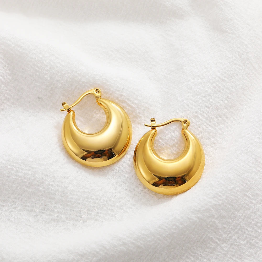Stainless Steel Smooth Round Tube Chunky Hoop Earrings
