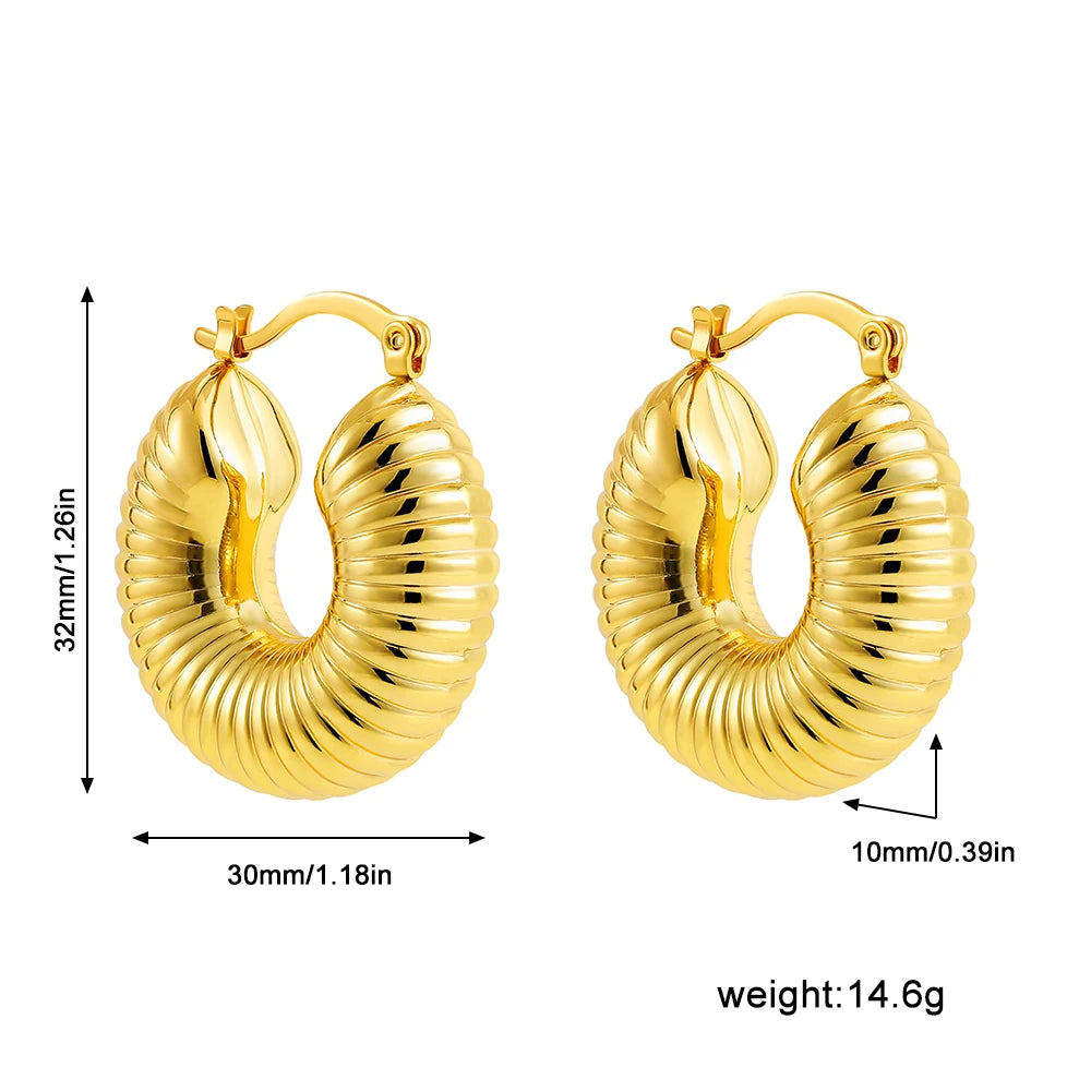 Stainless Steel Smooth Round Tube Chunky Hoop Earrings