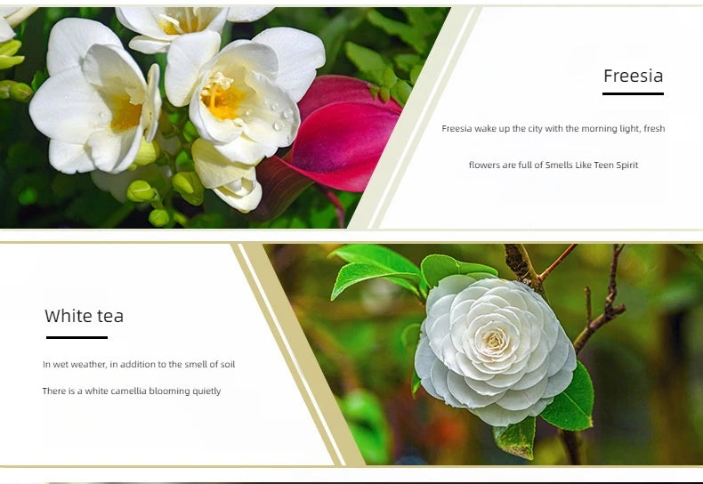 Flavors 10ml Essential Oils For Aroma Diffusers