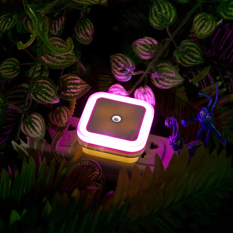 Mini Wireless LED Night Light Sensor