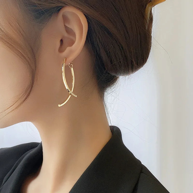 1 Pair Stainless Steel Earrings Trend Hip Hop
