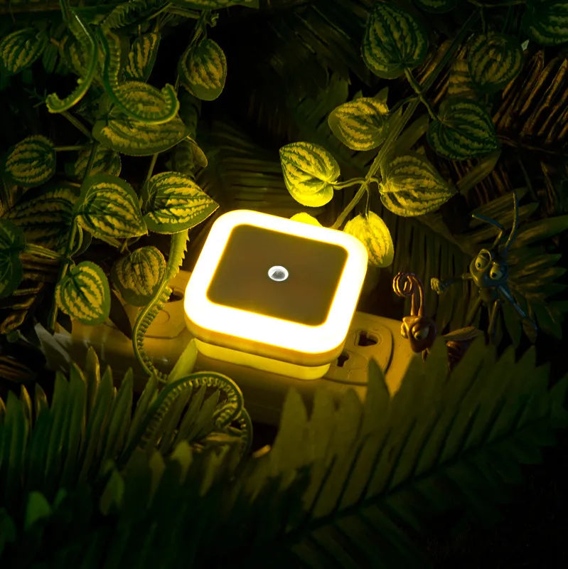 Mini Wireless LED Night Light Sensor