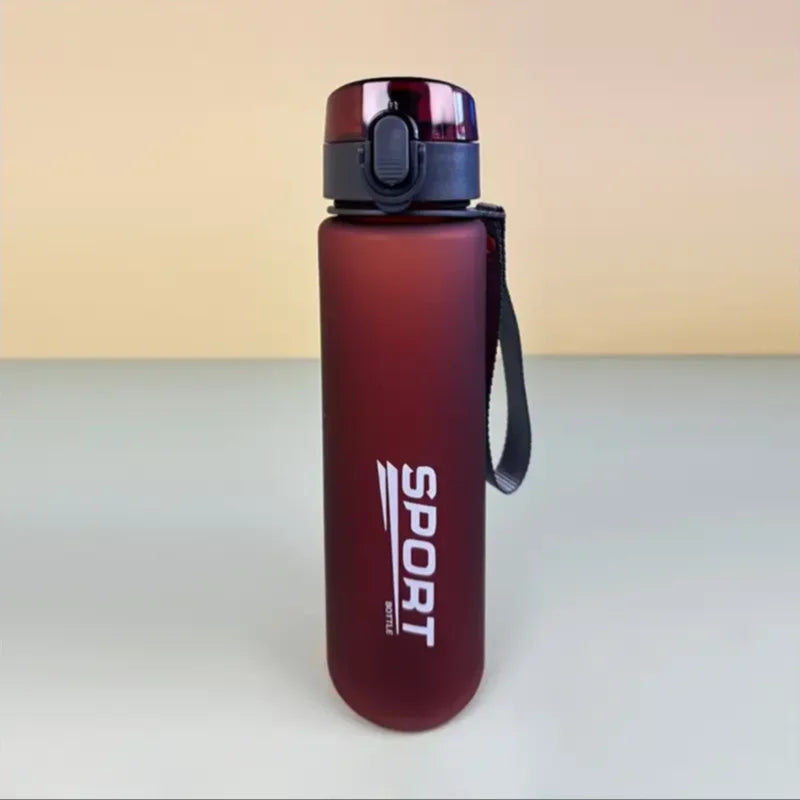 Brand BPA Free Leak Proof Sports Water Bottle High Quality Tour Hiking