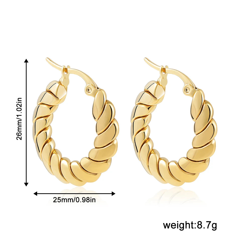 Stainless Steel Smooth Round Tube Chunky Hoop Earrings