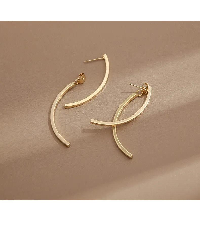 1 Pair Stainless Steel Earrings Trend Hip Hop