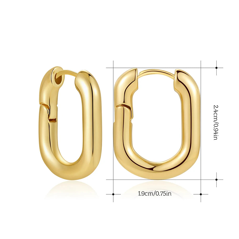 Stainless Steel Smooth Round Tube Chunky Hoop Earrings