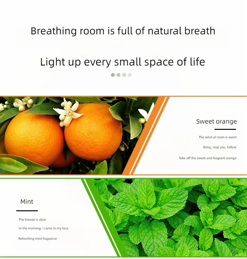 Flavors 10ml Essential Oils For Aroma Diffusers