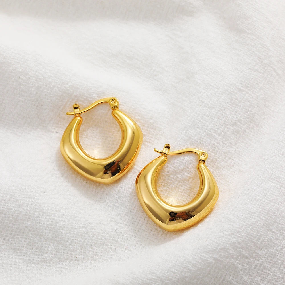 Stainless Steel Smooth Round Tube Chunky Hoop Earrings